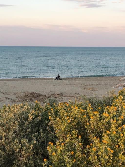 Logement Plage Saint-Cyprien  Exterior foto