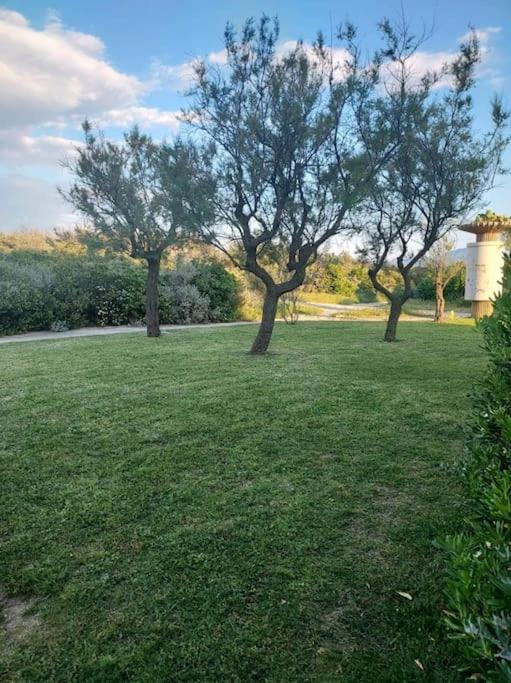 Logement Plage Saint-Cyprien  Exterior foto